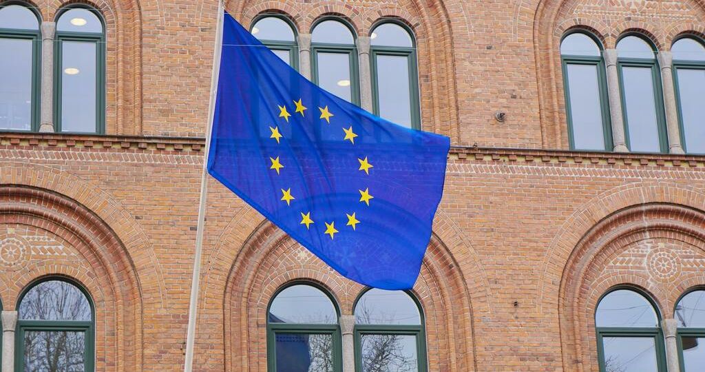 Link to EU democracy - Copertina