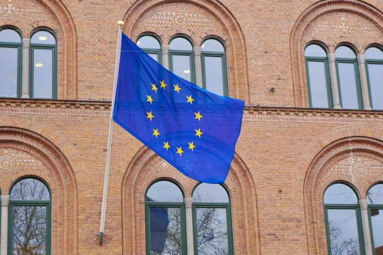 Link to EU democracy - Copertina